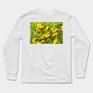 Dandelions Long Sleeve T-Shirt